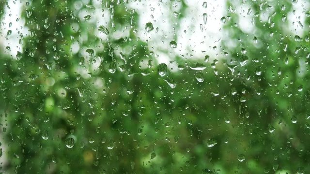 Rain drops running down on of a window glass.