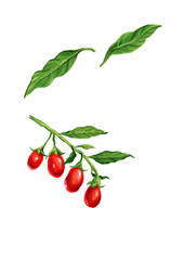 Goji berry Paint