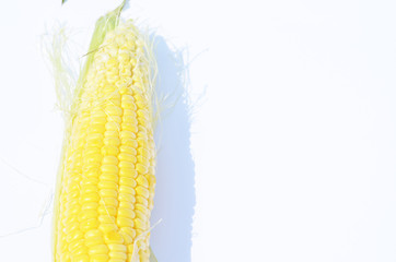 Close-up corn on white background,photo