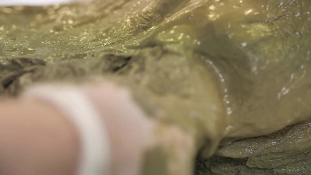 Woman Coloring Hair with Henna in Beauty Parlour, Organic and Natural Cosmetics