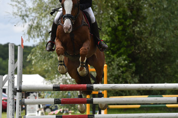 concours hippique