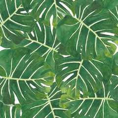 Naklejka na ściany i meble seamless pattern watercolor of green monstera leaves, hand painting plant illustration for fashion textile