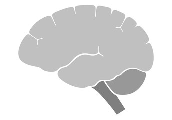 Human brain in profile view left.  Flat design