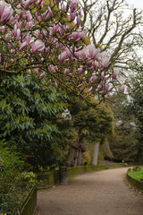 London - Battersea Park - March 20, 2019