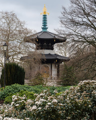 Fototapeta premium London - The London Peace Pagoda, Battersea Park - March 20, 2019
