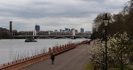 Fototapeta na wymiar London - Chelsea Bridge - March 20, 2019