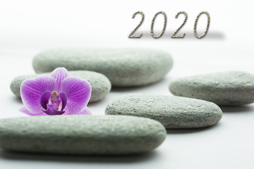 Obraz na płótnie Canvas New year concept. 2020 year number with grey roundstones with an orchid blossom
