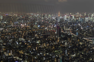 Streets of Night Tokyo in 2018