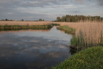 Nad Biebrzą, Podlaskie, Polska Europa