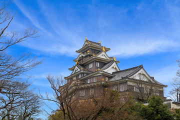 Fototapeta premium Okayama Castle Landmark.
