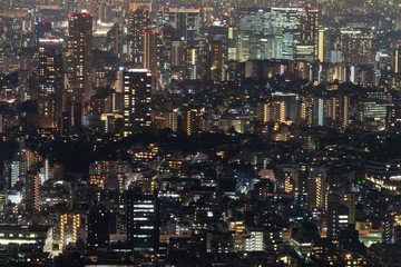 Fototapeta na wymiar Night cityscape of beautiful Tokio city. Landscape of night city from Above