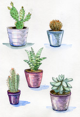 Hand drawn watercolor set of cactuses in a pots isolated on white background