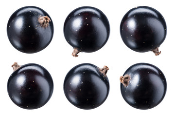 Black currant isolate. Top view. Currant black berries isolated on white background with clipping path. Black currant set with full depth of field.