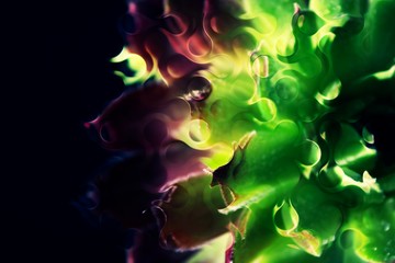 Abstract background with geometric design. Digital futuristic element. Technology. Macro flower cactus. Floral wallpaper. Colorful green blue pink red. Dark background.