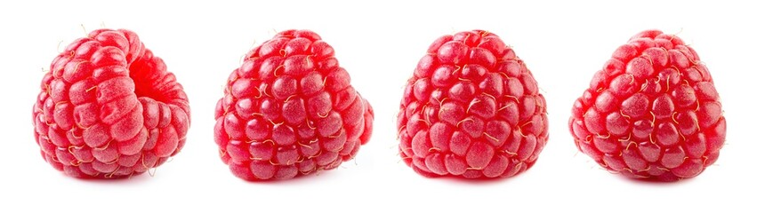 Raspberries isolate set. Raspberry isolated on white background. Red berry closeup. - Powered by Adobe
