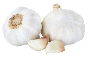Garlic healthy spice vegan vegetable isolated on white