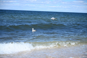 North Shore Long Island Beaches 