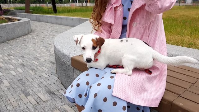 Woman Together With Dog In Park