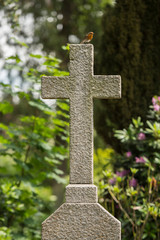 Friedhof, Kreuz, Engel