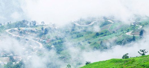 Wonderful view of mountain road in the morning mist.