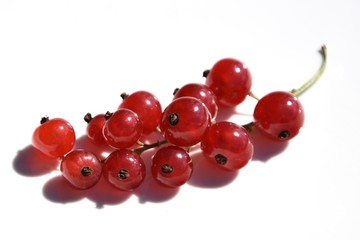 Johannisbeeren