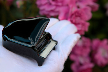 hand glove piano rose flower background 