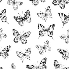 Seamless pattern of hand drawn silhouette butterflies. Vector illustration in vintage style on white background.