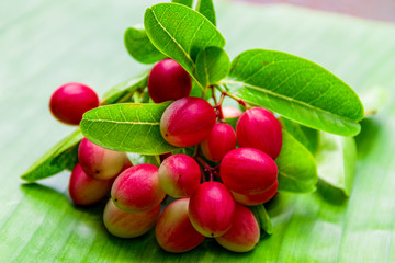 Carunda or Karonda Fruits on Banana leaf