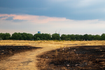 Fototapeta premium Wanstead flats after the fire