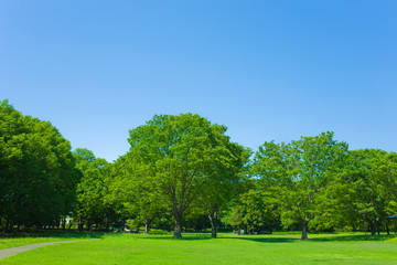 Green park
