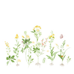 Floral pattern for wallpaper or fabric