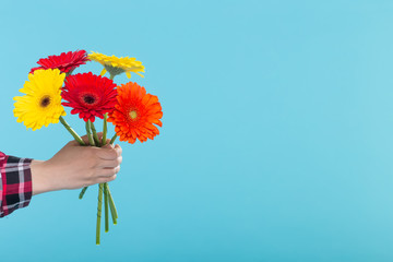 Bouquet of gerbera flowers over the blue background with copy space