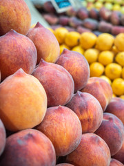 set of various types of peaches and fruits on fruit rack