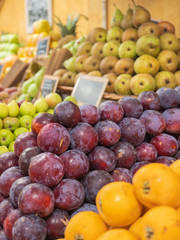 various types of well-ordered fruitss on the shelf of a fruit shop