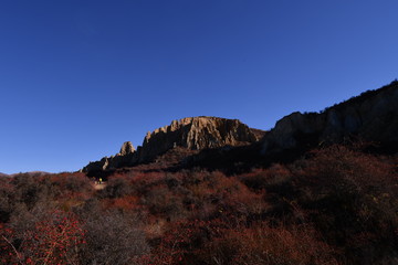 Obraz premium ニュージーランドテカポの朝焼け