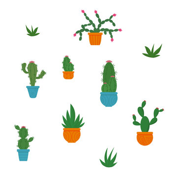 Set of different cacti and succulents in flower pots. The landscaping of the room. 