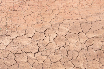 Mud crack,Brown cracked ground texture or background.