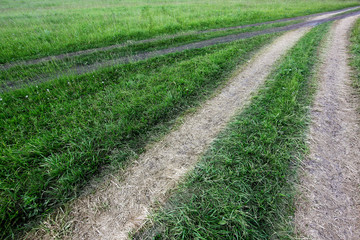 Fototapeta na wymiar view of the field with green grass and dirt road