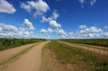 Fototapeta na wymiar dirt road in a wide field with green grass against a blue sky with clouds on the horizon