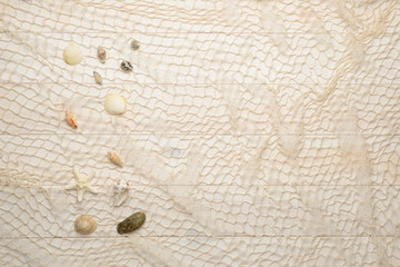 Fototapeta na wymiar Conchas, estrella de mar y caracolas marinos sobre fondo de madera blanca con red de pescar