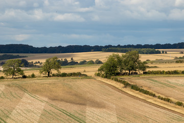 The Cotswolds