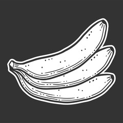 Organic sweet banana. Vector concept in doodle and sketch style.