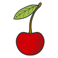 Organic fresh cherry. Vector concept in doodle and sketch style.
