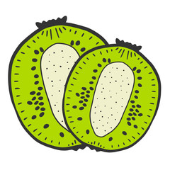 Sweet ripe slice of kiwi. Vector concept in doodle and sketch style.