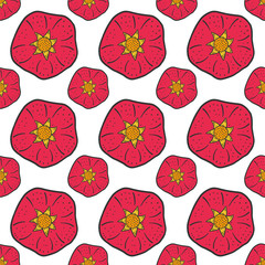 Fototapeta na wymiar Sweet ripe pomegranate. Vector concept in doodle and sketch style. Hand drawn illustration for printing on T-shirts, postcards.