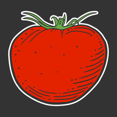 Ripe tomato. Vector concept in doodle and sketch style.