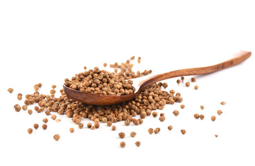 Coriander seeds on wooden spoon isolated on a white background.