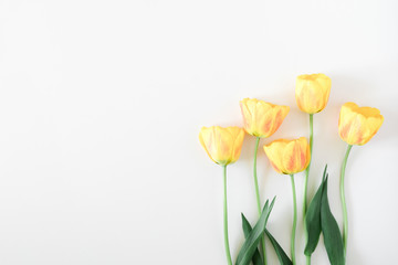 Beautiful composition of spring flowers. Yellow tulips flowers on white background. Valentine's Day, Easter, Birthday, Happy Women's Day, Mother's Day. Flat lay, top view, copy space