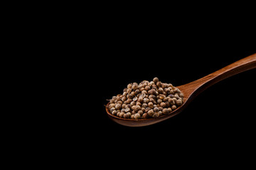 Coriander seeds on wooden spoon over a black background.