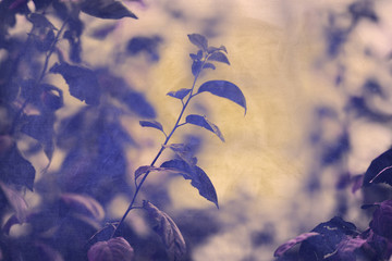 grunge floral background with leaves of a tree